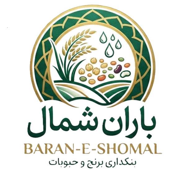بنکداری باران شمال